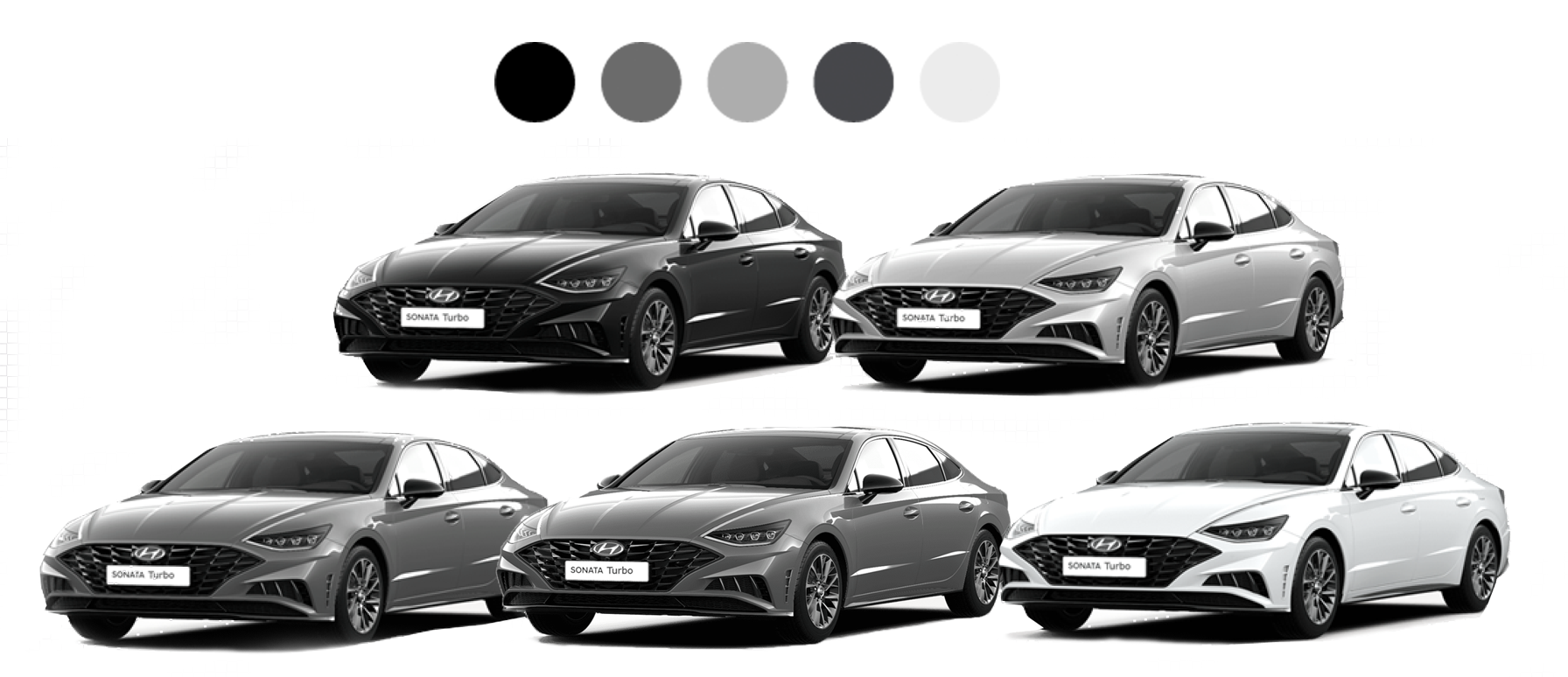 colors סונטה היברידית צבעים